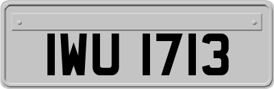IWU1713