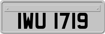 IWU1719