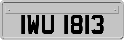 IWU1813