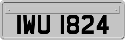 IWU1824
