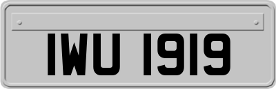 IWU1919