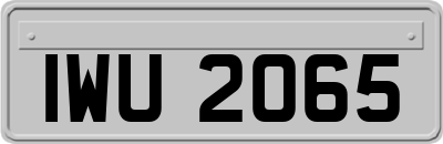 IWU2065