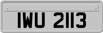 IWU2113