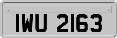 IWU2163