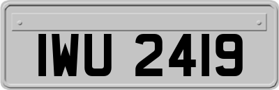 IWU2419