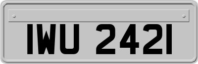 IWU2421