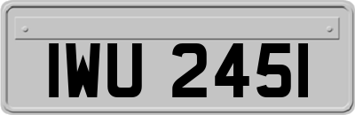 IWU2451