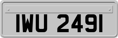 IWU2491