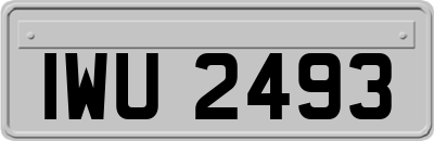 IWU2493