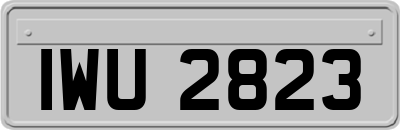 IWU2823