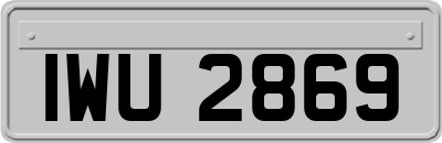 IWU2869