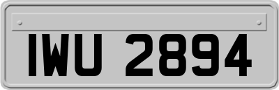 IWU2894