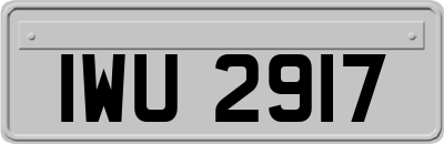 IWU2917