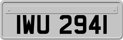 IWU2941
