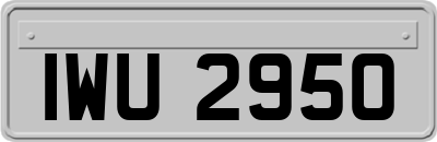 IWU2950