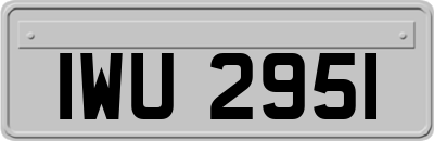IWU2951