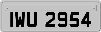 IWU2954