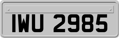 IWU2985