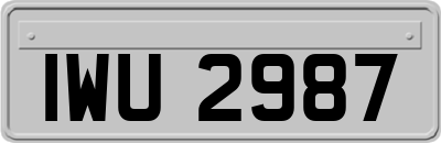 IWU2987