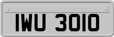 IWU3010