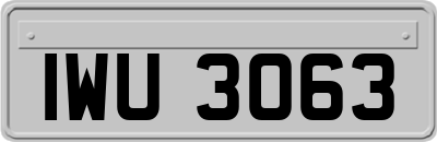 IWU3063