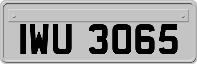IWU3065