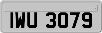 IWU3079