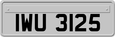 IWU3125
