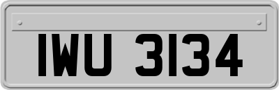 IWU3134