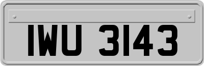 IWU3143
