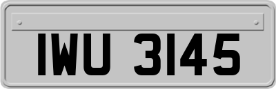 IWU3145