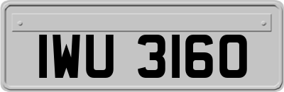 IWU3160