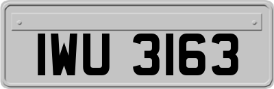 IWU3163
