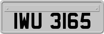 IWU3165