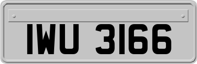 IWU3166