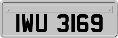 IWU3169
