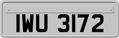 IWU3172