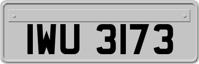 IWU3173