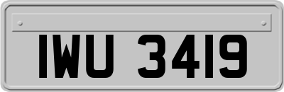 IWU3419