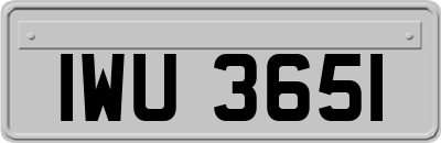 IWU3651