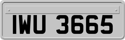 IWU3665