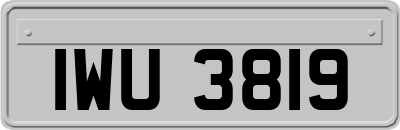 IWU3819