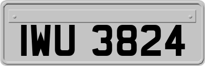 IWU3824