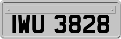 IWU3828
