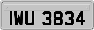 IWU3834