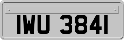 IWU3841