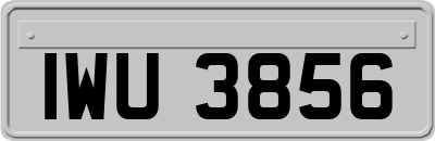 IWU3856
