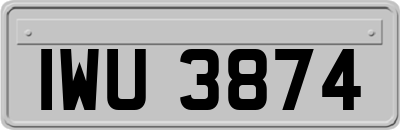 IWU3874