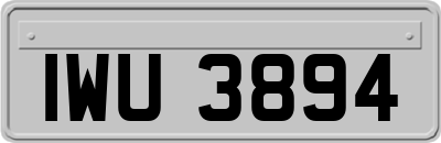 IWU3894