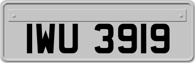 IWU3919